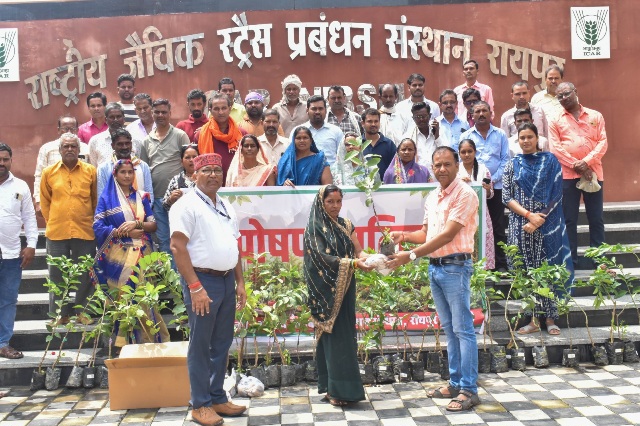 आईसीएआर-एनआईबीएसएम द्वारा ‘पोषण वाटिका’ पर प्रशिक्षण कार्यक्रम आयोजित*